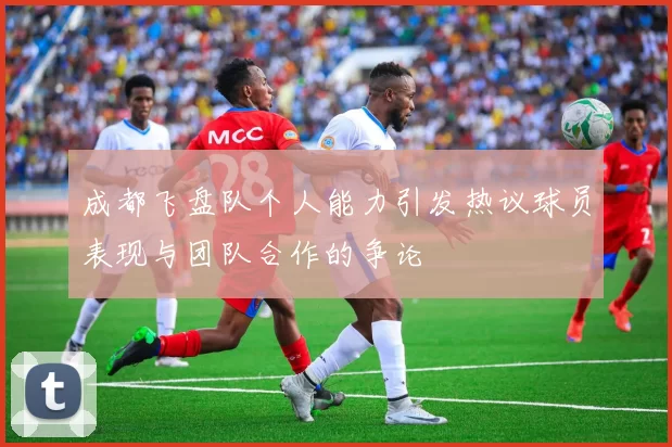 成都飞盘队个人能力引发热议球员表现与团队合作的争论
