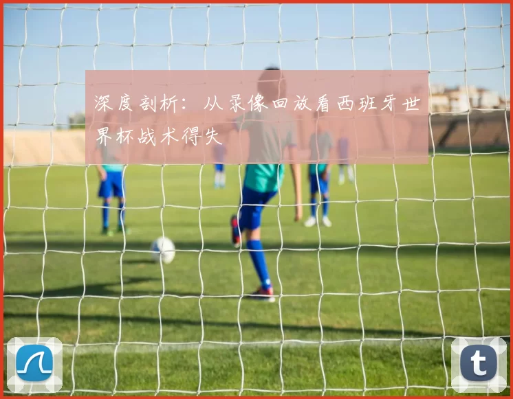 深度剖析:从录像回放看西班牙世界杯战术得失