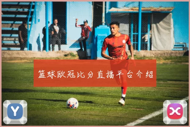 篮球欧冠比分直播平台介绍