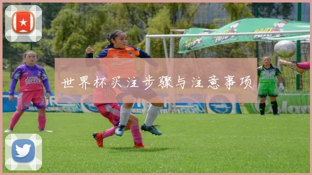 世界杯买注步骤与注意事项