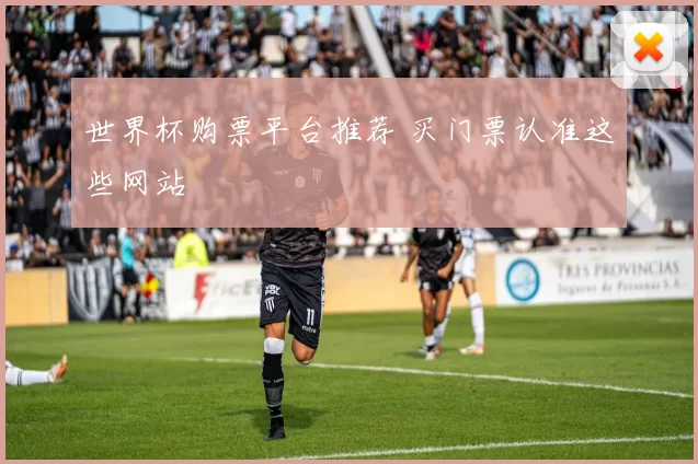 世界杯购票平台推荐 买门票认准这些网站