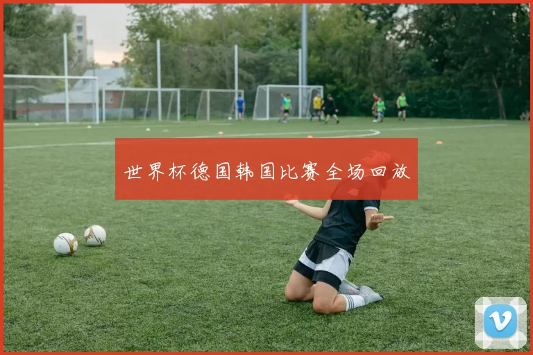 世界杯德国韩国比赛全场回放