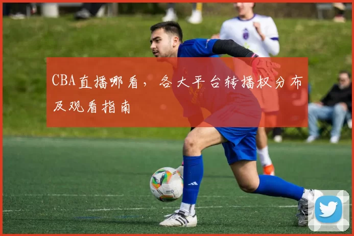 CBA直播哪看，各大平台转播权分布及观看指南