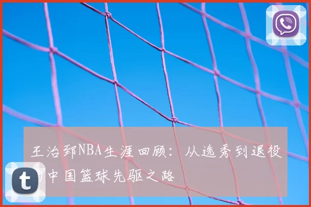 王治郅NBA生涯回顾：从选秀到退役的中国篮球先驱之路