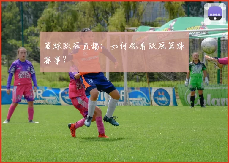 篮球欧冠直播：如何观看欧冠篮球赛事？
