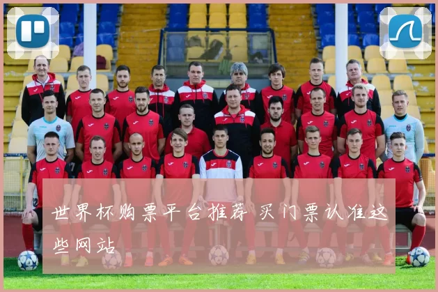 世界杯购票平台推荐 买门票认准这些网站