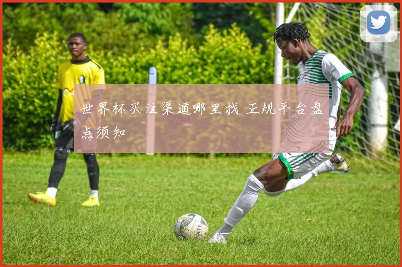 世界杯买注渠道哪里找 正规平台盘点须知