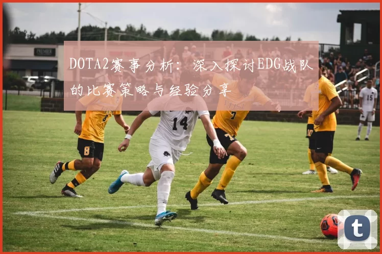 DOTA2赛事分析：深入探讨EDG战队的比赛策略与经验分享