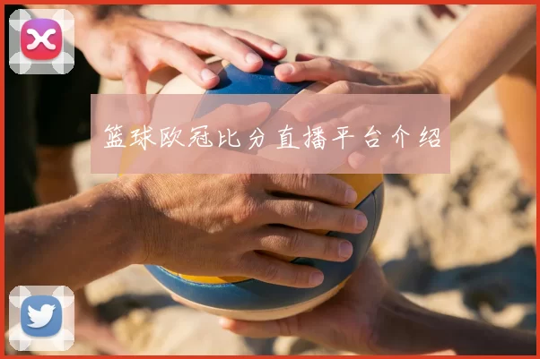 篮球欧冠比分直播平台介绍