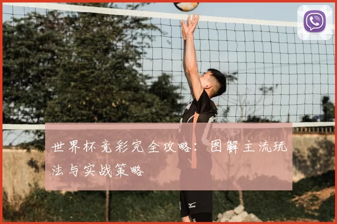 世界杯竞彩完全攻略：图解主流玩法与实战策略