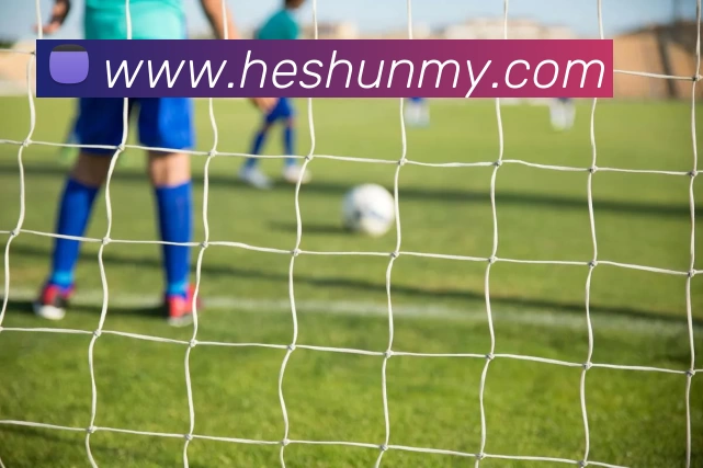 华体官网登录APP 高清赛事图